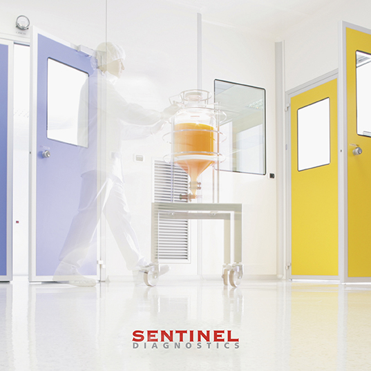 Sentinel Diagnostics - Scheda tecnica Lipase