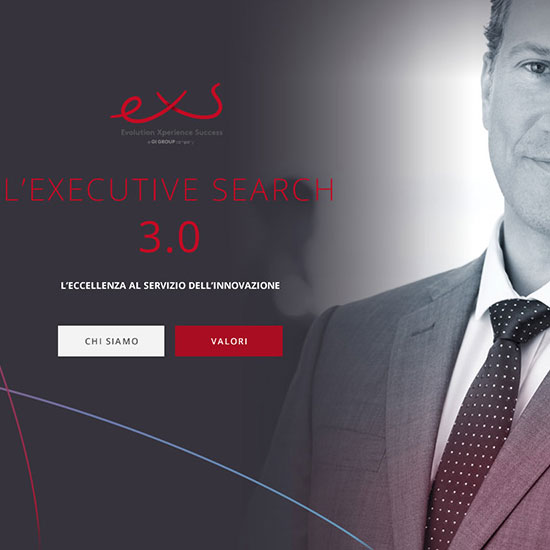 Sito internet EXS execute search